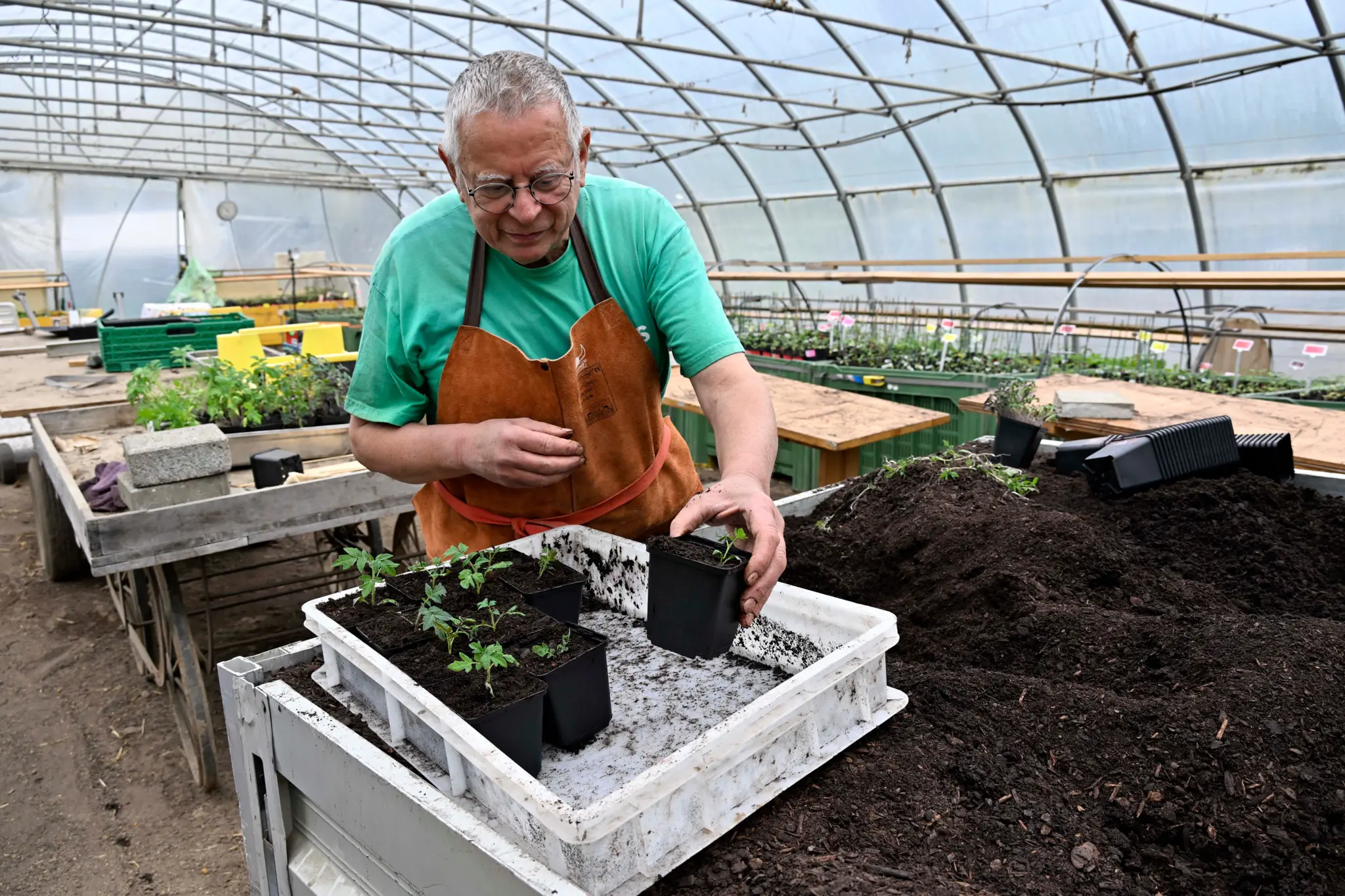 image of food presentation at a food truck event