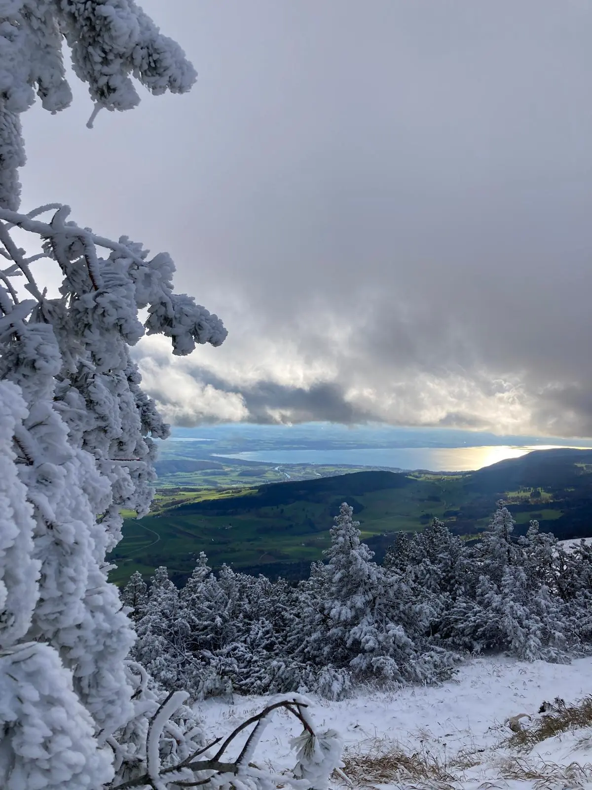 image of food presentation at a food truck event
