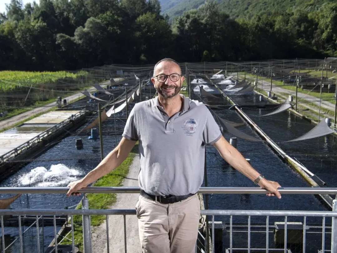 image of food presentation at a food truck event